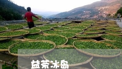 益茶冰岛/2023090118279