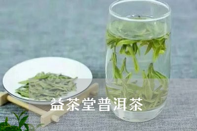 益茶堂普洱茶/2023042783229