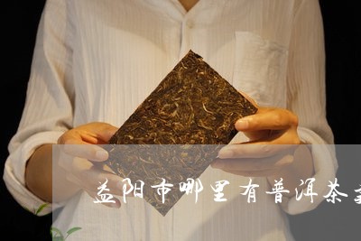 益阳市哪里有普洱茶卖/2023080707169