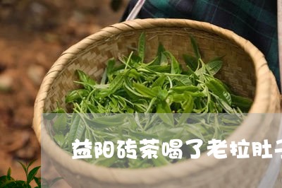 益阳砖茶喝了老拉肚子/2023060837362