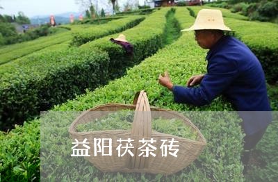 益阳茯茶砖/2023122093838