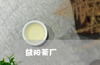 益阳茶厂/2023090189371