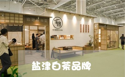 盐津白茶品牌/2023052112723