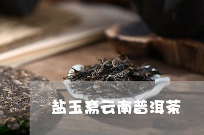 盐玉斋云南普洱茶/2023110943039