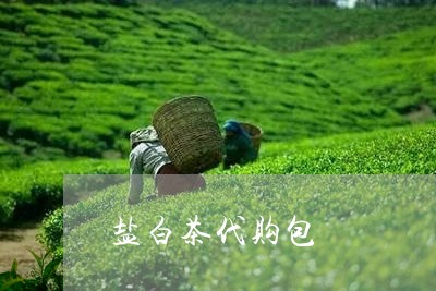 盐白茶代购包/2023052148283