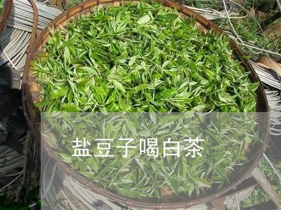 盐豆子喝白茶/2023052180794