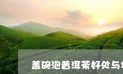 盖碗泡普洱茶好处与坏处/2023102433917