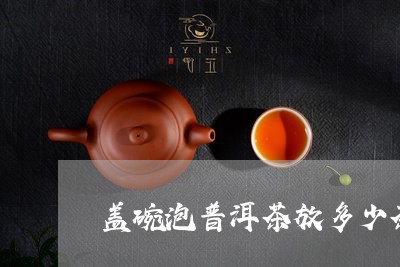 盖碗泡普洱茶放多少茶叶合适/2023082635138