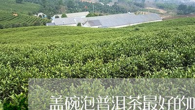 盖碗泡普洱茶最好的吗/2023062430613