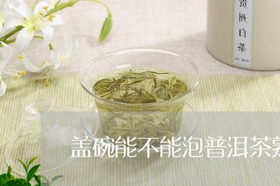 盖碗能不能泡普洱茶熟茶/2023110750613