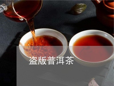 盗版普洱茶/2023090529176