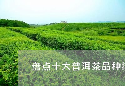 盘点十大普洱茶品种排名/2023101731827