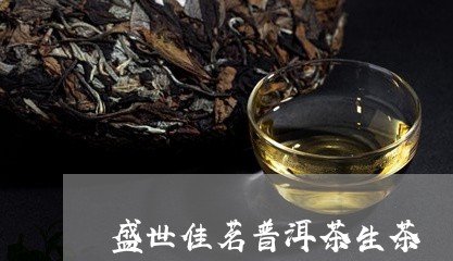 盛世佳茗普洱茶生茶/2023112705057