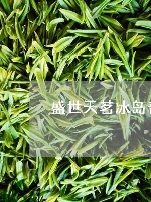 盛世天茗冰岛普洱生茶/2023092568615