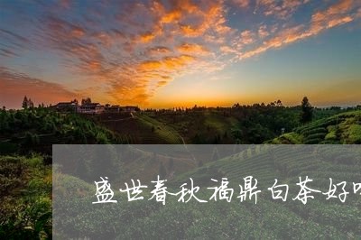 盛世春秋福鼎白茶好喝吗/2023092239571