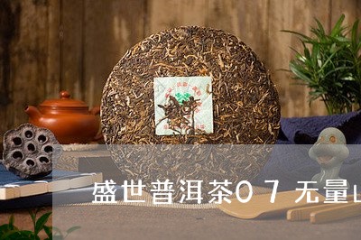 盛世普洱茶07无量山/2023100773916