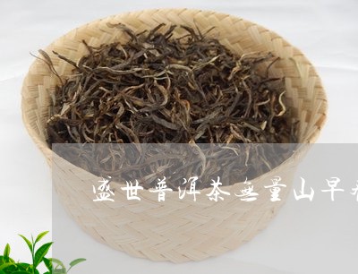 盛世普洱茶无量山早春/2023080255158