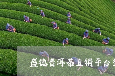 盛德普洱茶直销平台登录/2023110745361