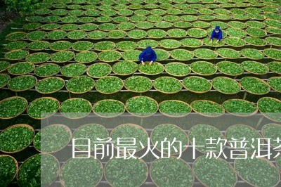 目前最火的十款普洱茶品种/2023082706160