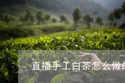 直播手工白茶怎么做的好/2023103136036