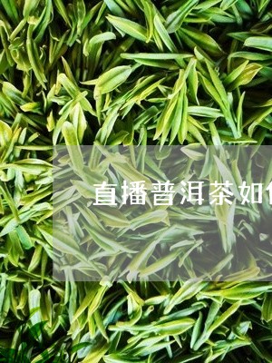 直播普洱茶如何说心动/2023080109682