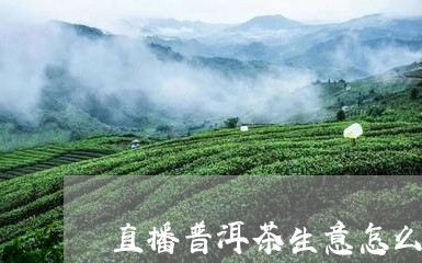 直播普洱茶生意怎么样/2023073000714