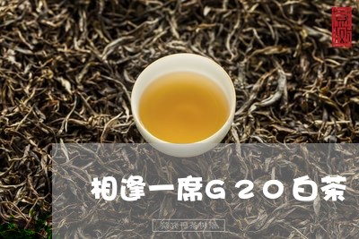 相逢一席G20白茶/2023071320048