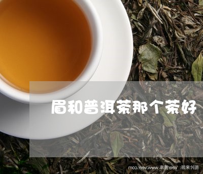 眉和普洱茶那个茶好/2023062237489