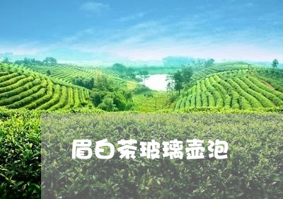 眉白茶玻璃壶泡/2023061919949