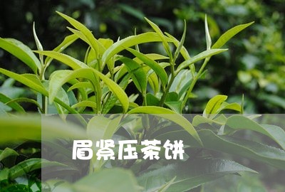 眉紧压茶饼/2023052556158