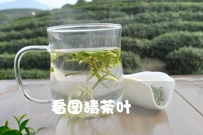 看图猜茶叶/2023041808679