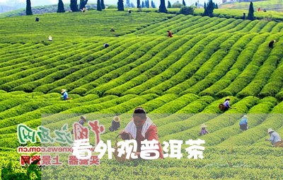 看外观普洱茶/2023042810050