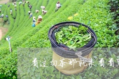 看过白茶那就来看看黑茶吧/2023110725167