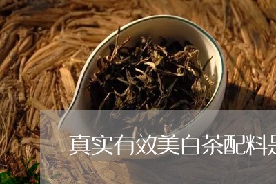 真实有效美白茶配料是什么/2023110757382