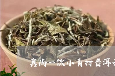 真尚一饮小青柑普洱茶/2023061531603