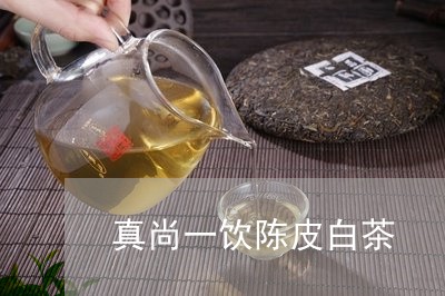 真尚一饮陈皮白茶/2023063002939