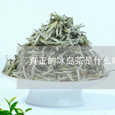 真正的冰岛茶是什么味道的呀/2023052680693