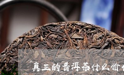 真正的普洱茶什么价位/2023100877471