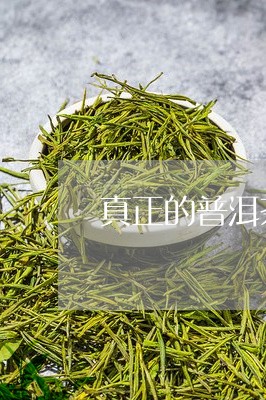 真正的普洱茶图片大全/2023080126049