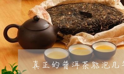 真正的普洱茶能泡几年/2023062251506