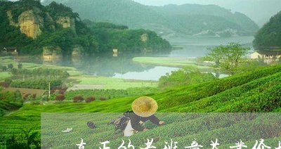 真正的老班章茶业价格/2023092473036