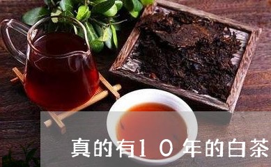 真的有10年的白茶吗/2023092719470