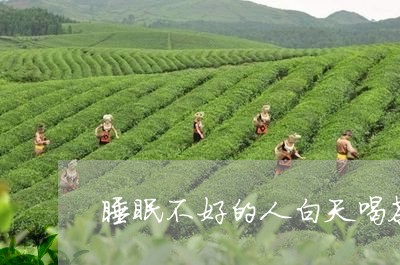 睡眠不好的人白天喝茶可以吗/2023052676270