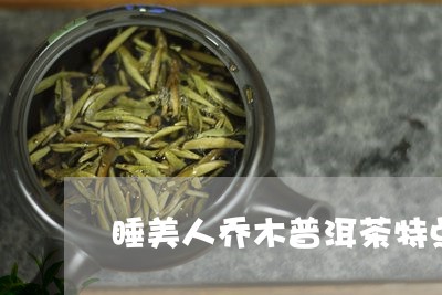 睡美人乔木普洱茶特点/2023100775048