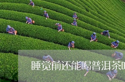 睡觉前还能喝普洱茶吗/2023062192835