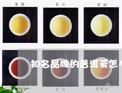 知名品牌的普洱茶怎么样/2023102431491