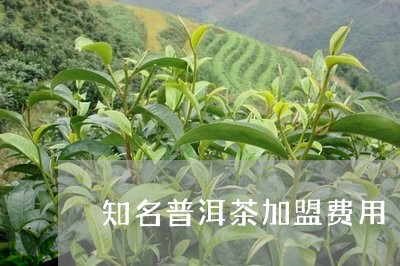 知名普洱茶加盟费用/2023042839492