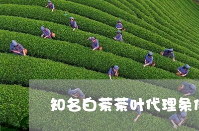 知名白茶茶叶代理条件/2023100739303