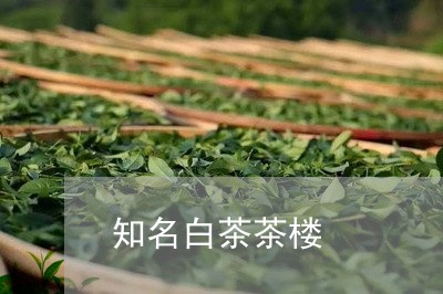 知名白茶茶楼/2023052182605