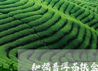 知福普洱茶铁盒包装的/2023062073515